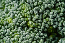 Closeup Macro Green Texture View On Broccoli    