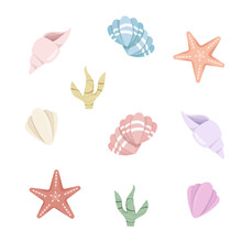 Seashells And Seastars Collection. Vector Flat Cartoon Illustration. Isolated On White Background. Sea Shells And Stars Colorful Icons Set.