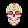 Decorative mexican sugar skull. Stylized skull. Day of the Dead. Stencil art. Painted skull. Sugar skull. Mexican skull. Colorful skull on black background.