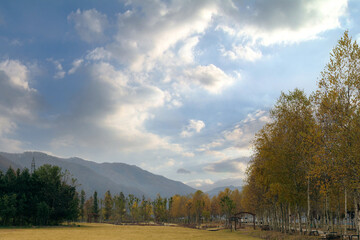 Canvas Print - Landscape view of a field surrounded by mountains in autumn