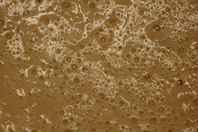 Close Up Bubble Structure Of Wet Yeast Dough For Pancakes The Origin Of Bacteria In Brown Plasma  Background Texture