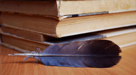 Canvas Print - Closeup shot of books and a feather on a table