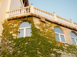 Beautiful facade of a white stone house overgrown with ivy