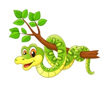 Cartoon Cute Funny Python Snake On Jungle Tree, Vector Green Anaconda. Serpent Animal Or Snake Character, On Forest Tree, Happy Reptile Cobra Or Rattlesnake With Friendly Smile On Face
