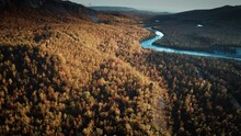Aerial View Of The Borselvdalen Valley, Norway. The Colorful Autumn Forest Is Covering The Valley Floor. The River Snaking Through The Valley