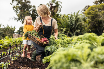 Cheerful mother smiling at her daughter while picking fresh kale