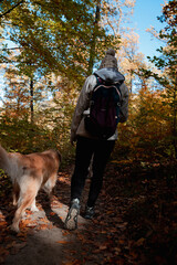 Poster - Scenic shot of a hiker and a dog walking in an autumn forest full of trees