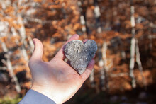 Shallow Focus Closeup Of A Male Hand Holds A Rocky Heart-shaped With Blurred Trees In The Background
