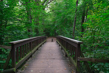 Beautiful View Of A Brown Wooden Pier Bridge Inside A Park With Green Trees