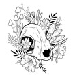 bullskull and mushrooms sketch vector illustration. Hand drawn image.