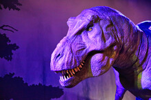 Dinosaur Model In The Natural History Museum In London, United Kingdom