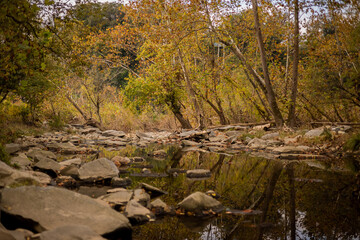 Poster - Landscape view of stones in a lake surrounded by green trees