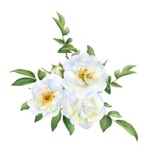 The Floral Composition Of The White Wild Roses, Buds And Leaves  Hand Drawn In Watercolor Isolated On A White Background. Botanical Illustration.