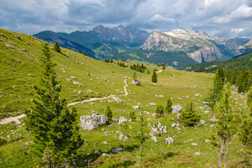 Wall Mural - view of alp landscape with meadows and mountains in the alps