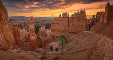 Bryce Canyon National Park With Sunset