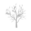 © АНДРЕЙ Морозюк - forest fires icon, coniferous forest, vector illustration