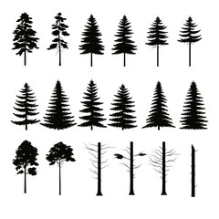 Poster - Big Set of Forest Trees Silhouettes for Design on White Background