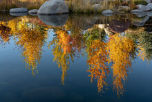 Reflection Of Trees In Calm Lake During Autumn