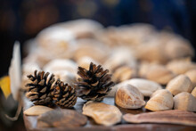 Closeup Shot Of Pine Cones On Pebbles