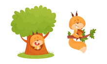 Cute Squirrel Various Activities Set. Lovely Forest Animal Character Sitting In Hollow Tree And Tree Branch Vector Illustration