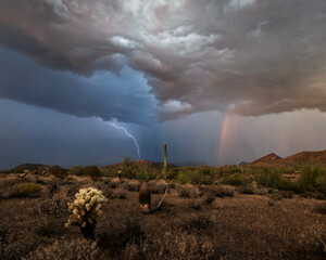 Wall Mural - lightning and the dark clouds over a deserted area