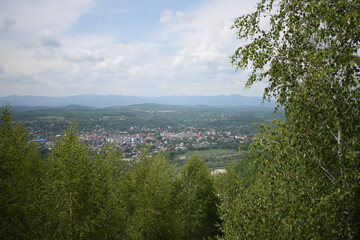 Sticker - Forest trees with cityscape and mountains under a cloudy sky on background