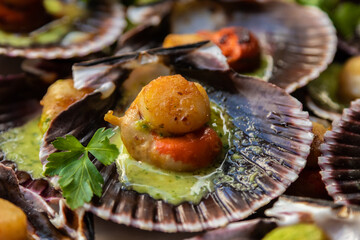 Canvas Print - scallops prepared in the shell