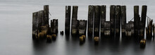Panorama Of A Section Of Old Pier Posts (groins) In Smooth Morning Water Of The St. Lawrence River