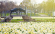Druskininkai, Lithuania - April 28, 2021: Narcissus flower celebration day in resort town Druskininkai, Lithuania
