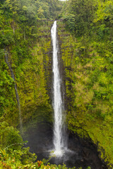 Wall Mural - Waterfall - Akaka falls Hawaii