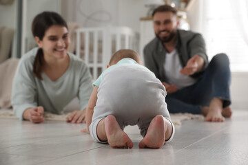 Wall Mural - Happy parents watching their baby crawl on floor at home