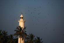 Lighthouse Of Galle And Crows In Sri Lanka Against A Dark Blue Sky