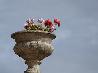 Sticker - Low angle shot of a colorful flowers in a stone tub against a blue sky