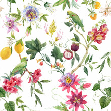 Beautiful Vector Seamless Tropical Floral Pattern With Hand Drawn Watercolor Exotic Jungle Flowers. Stock Illustration.