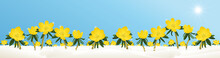 Schneelandschaft Mit Gelben Blumen Bei Frost, Blauem Himmel Und Sonne, Winterlinge Blumenwiese