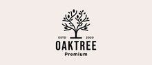 Oak Tree Icon Vector Logo Design
