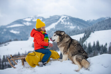 Wall Mural - Winter knitted kids clothes. Boy sledding in a snowy forest with siberian husky dog. Outdoor winter fun for Christmas vacation.