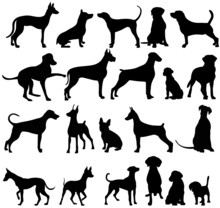 Black Silhouette Dog, Set, Collection Isolated, Vector