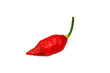 © noppharat - Close up Bhut Jolokia chili on white background.