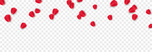 Vector Rose Petals On Isolated Transparent Background. Falling Rose Petals Png. Holiday, Valentine's Day.