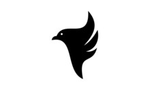 Brand Falcon Eagle Head Logo