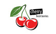 Drawn vector cherry on a white background