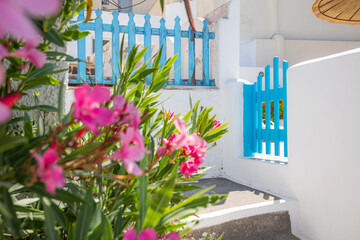 Wall Mural - Fantastic travel background, Santorini urban street landscape. Blue door or gate stairs and white architecture under sunny sky. Amazing summer vacation holiday adventure. Wonderful summer luxury vibes