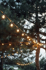 Decorative outdoor string lights hanging on tree in the garden at night time