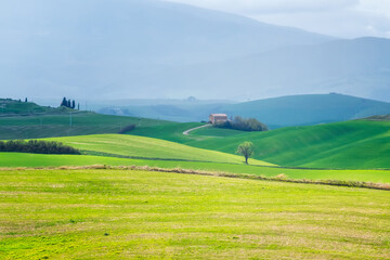 Wall Mural - amazing spring morning among picturesque green rolling hills in the heart of tuscany
