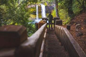 Canvas Print - bridge in the forest