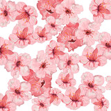 Ilustracja różowe kwiaty wiśni na białym tle