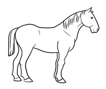 Draft Horse Simple Outline Stock Illustration.