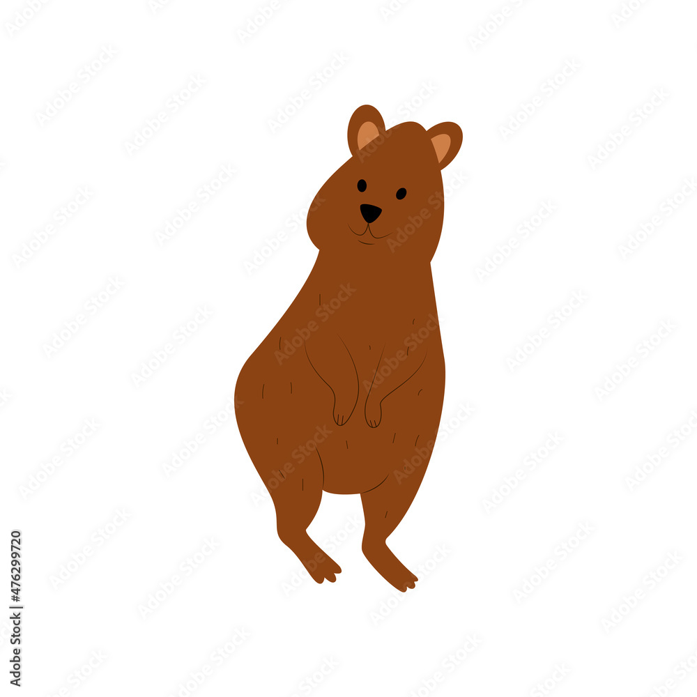 cute-baby-animal-kwoka-hand-vector-drawing-stock-vector-adobe-stock