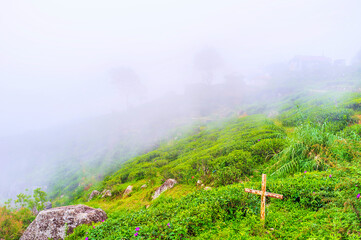 Sticker - The fog is a usual weather phenomen in mountains of Sri Lanka in winter season, Haputale